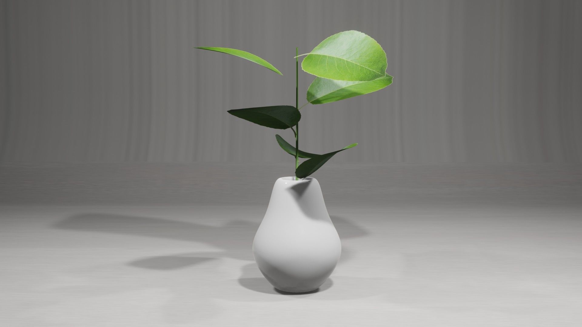 Decorative Plants 3D model_1