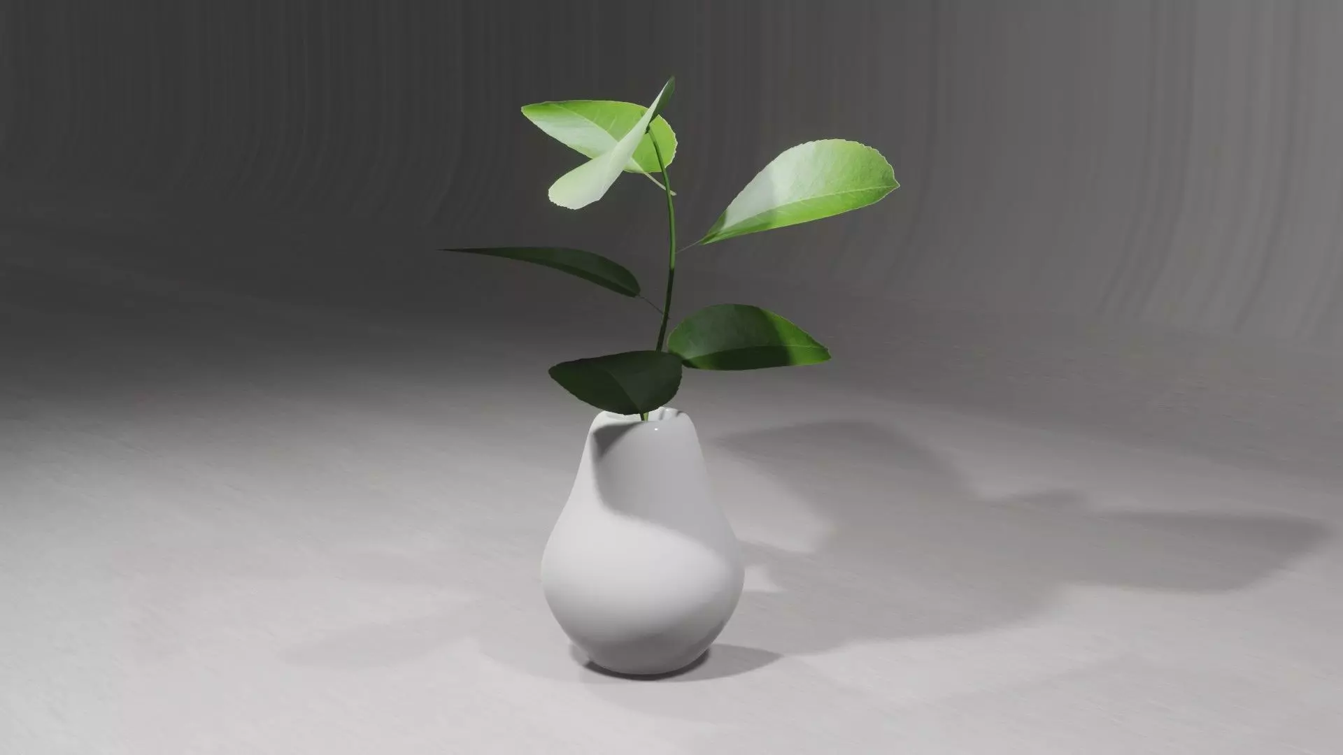 Decorative Plants 3D model_0