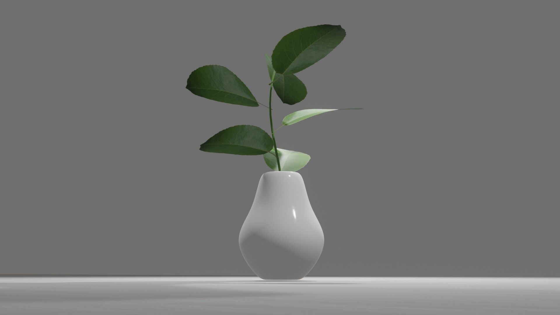Decorative Plants 3D model_5