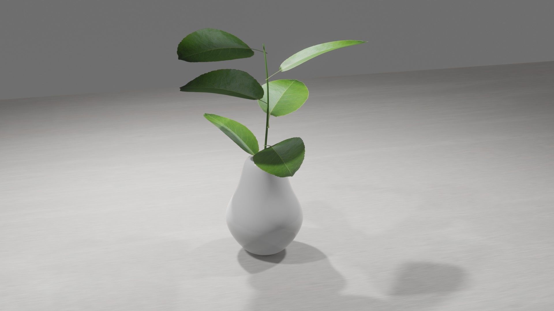 Decorative Plants 3D model_3