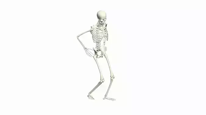 Skeleton Rigged 3D Dance Animation 