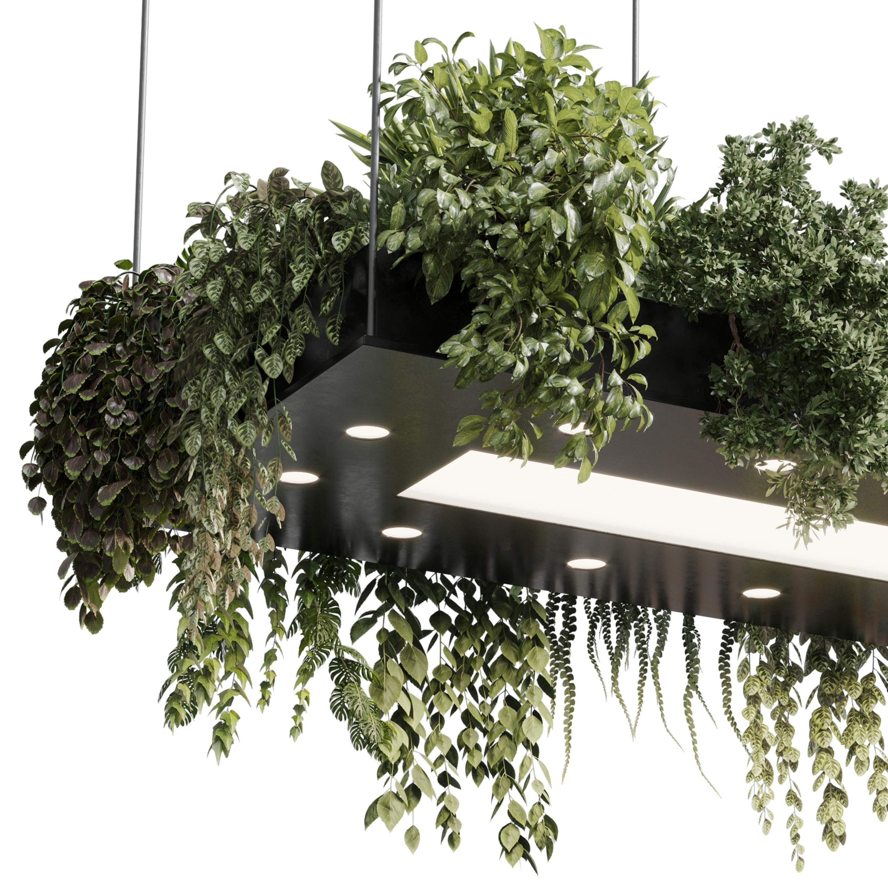 Rectangle pot light pendant - plant light hanging 18 3D model_2