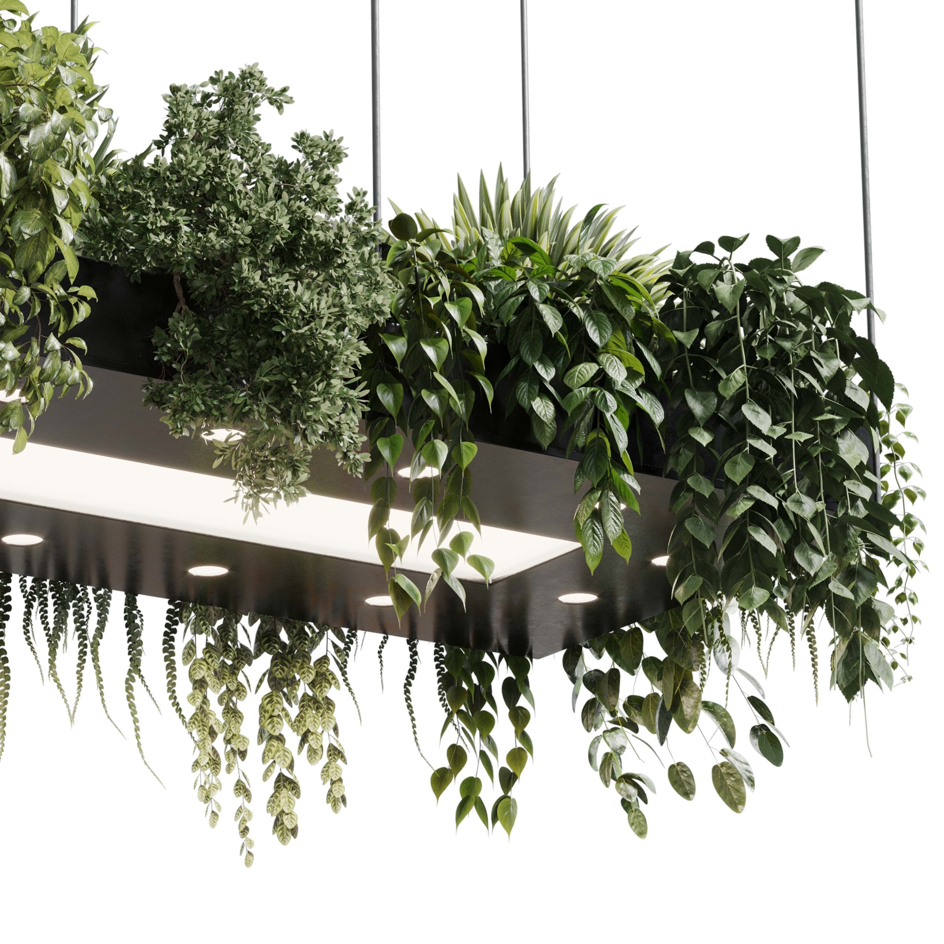 Rectangle pot light pendant - plant light hanging 18 3D model_3