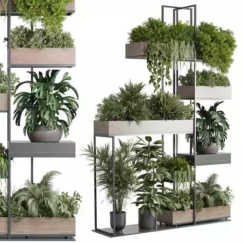 Standing metal shelf with a set of plants in wooden