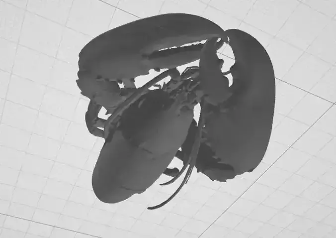 Lobster - 3d scan 3D print model