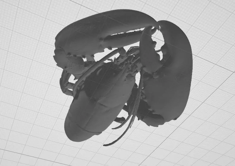 Lobster - 3d scan 3D print model_0