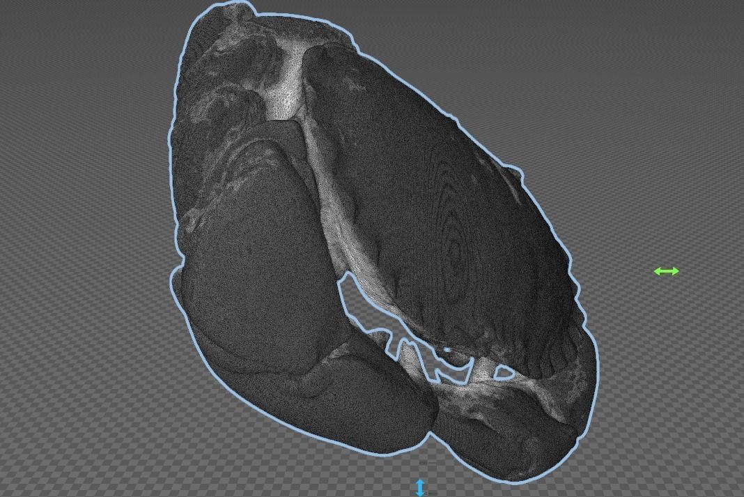 Lobster - 3d scan 3D print model_3