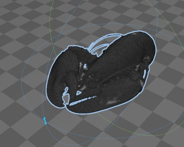Lobster - 3d scan 3D print model_2