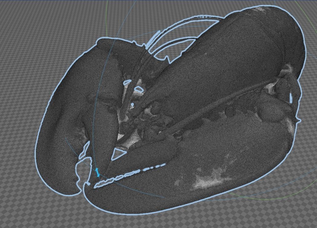 Lobster - 3d scan 3D print model_4