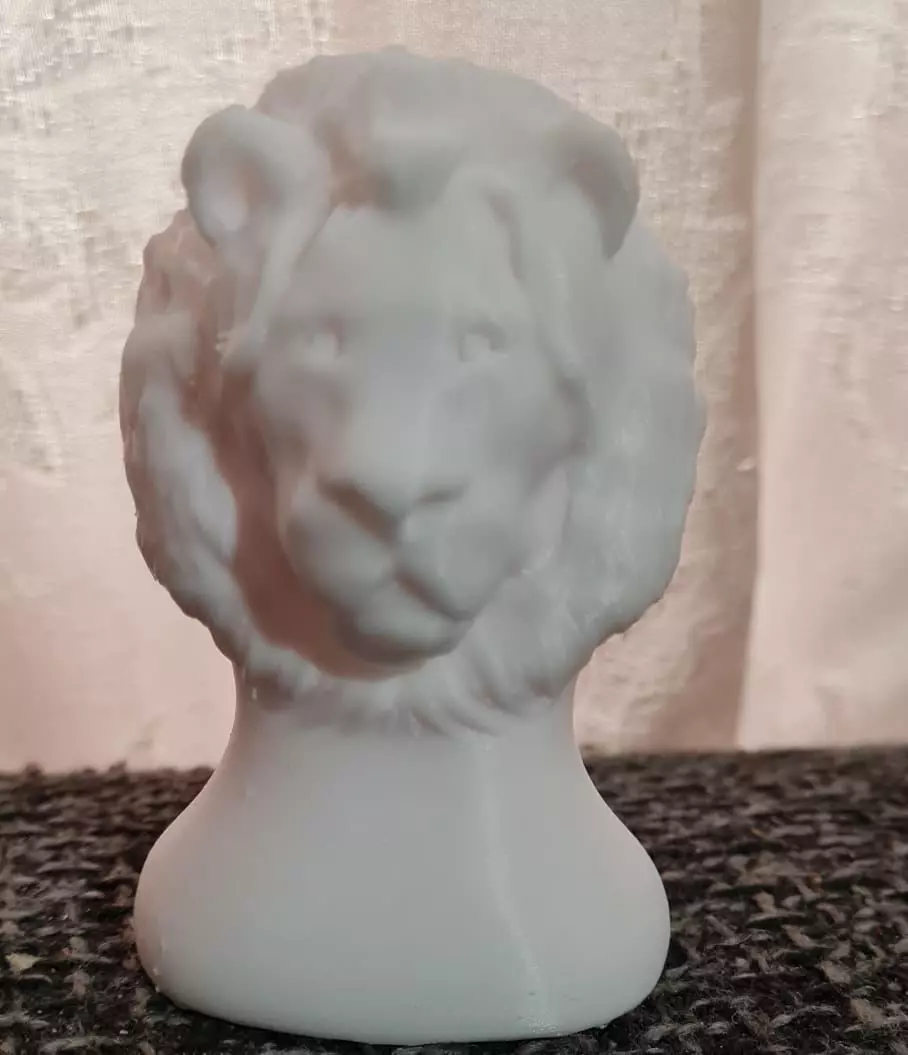 THE LION Free 3D print model