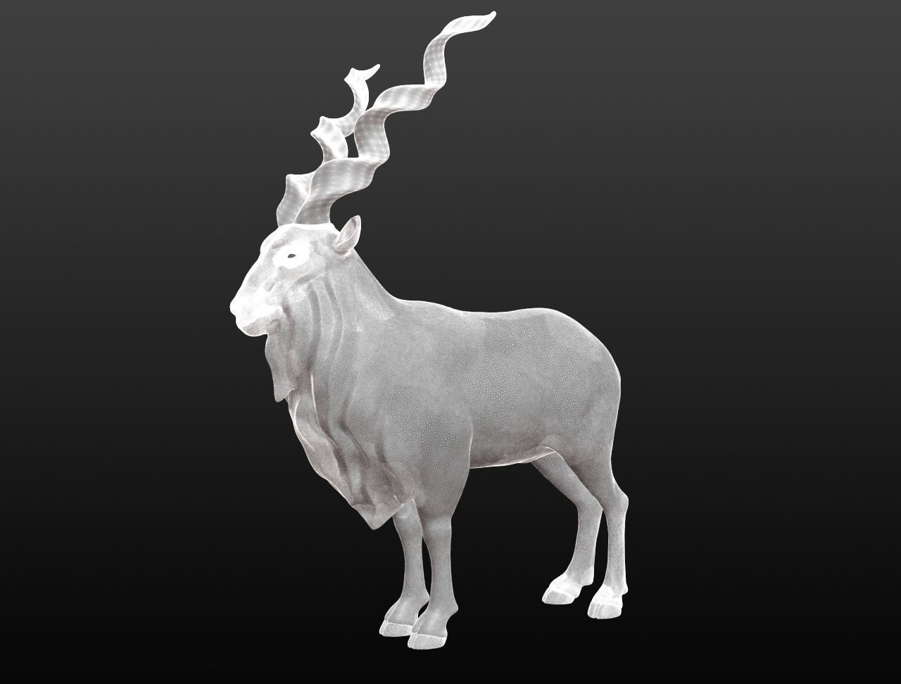 Markhor Base Mesh 3D model_3