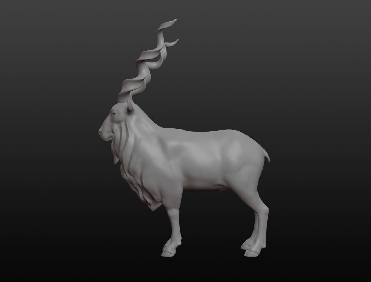 Markhor Base Mesh 3D model_9