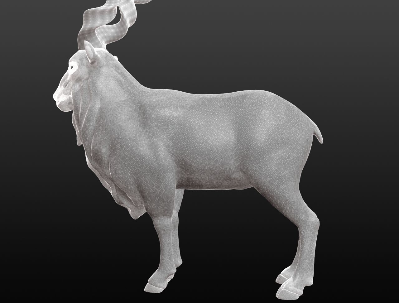 Markhor Base Mesh 3D model_1