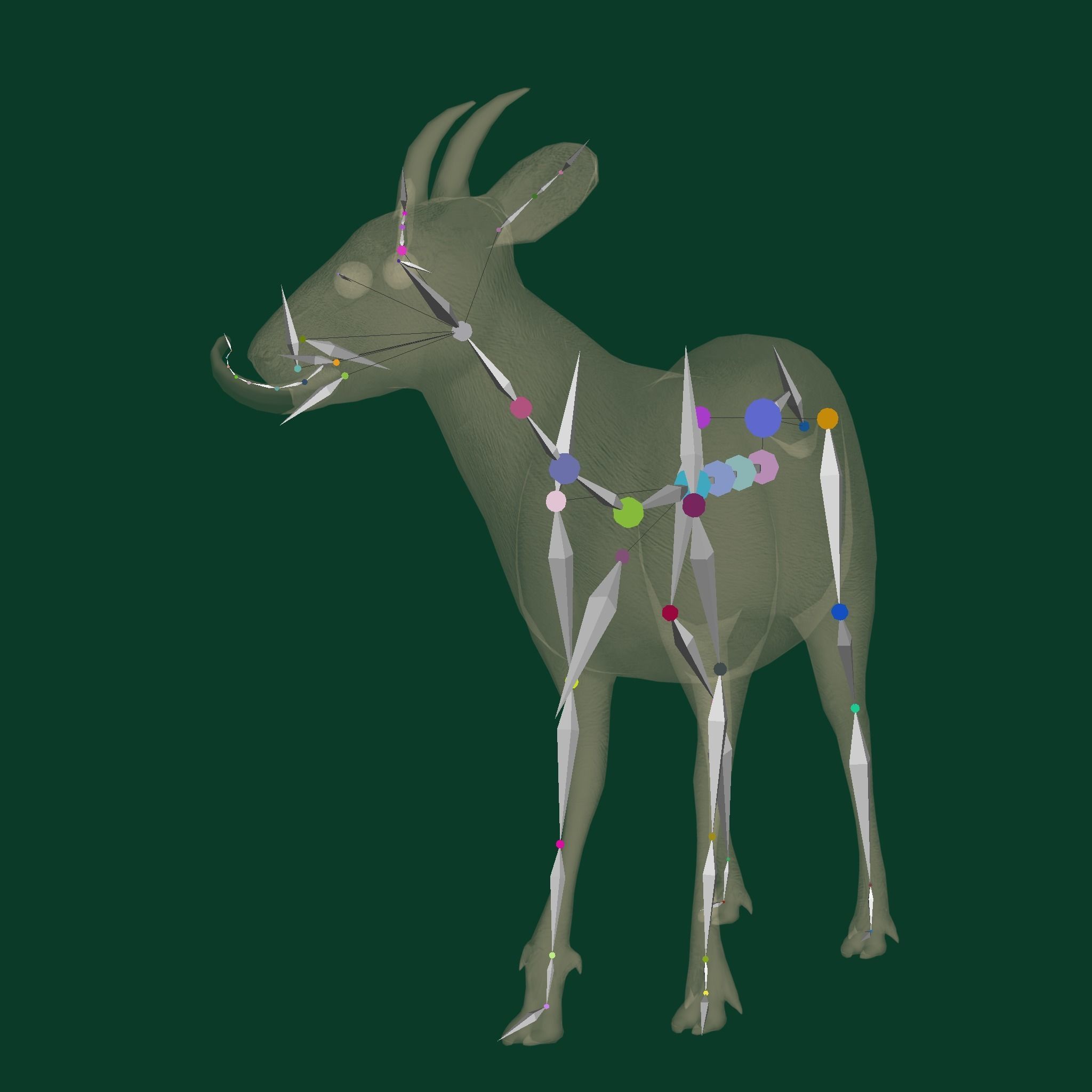 Duiker Brown Antelope Animal Low-poly 3D model_10