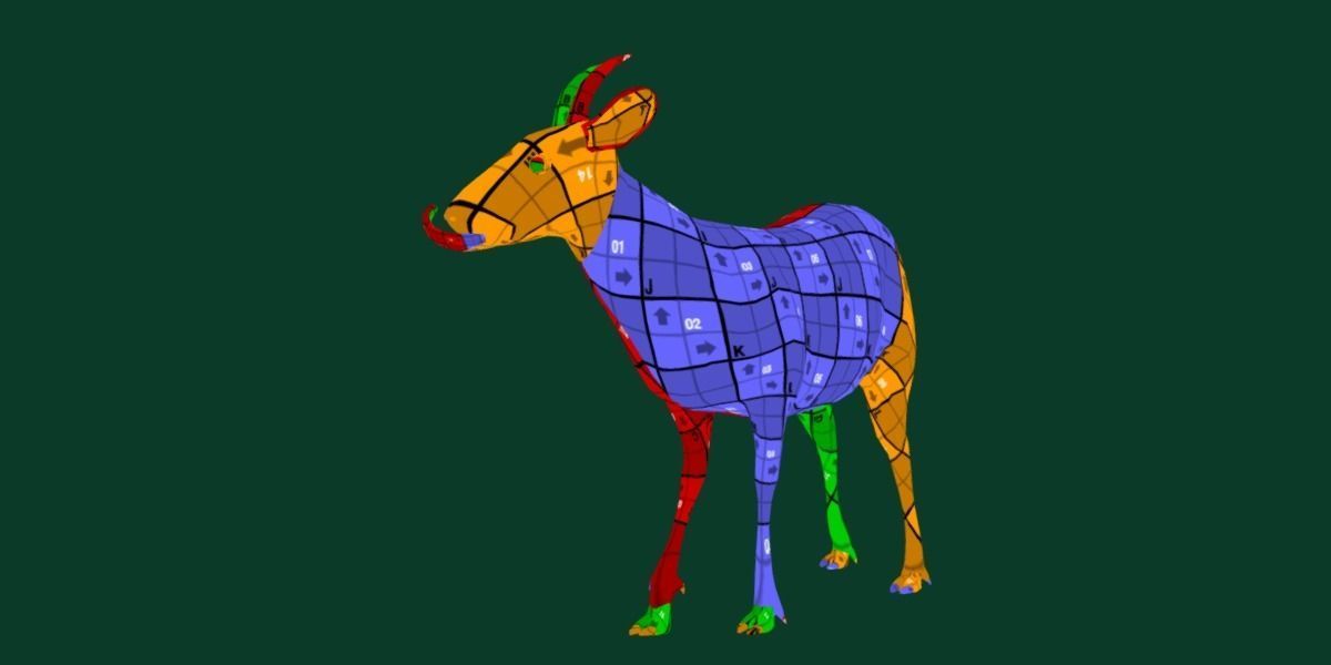 Duiker Brown Antelope Animal Low-poly 3D model_8