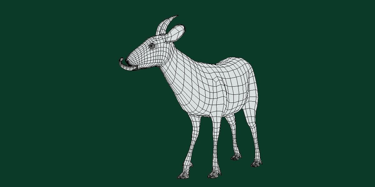 Duiker Brown Antelope Animal Low-poly 3D model_6