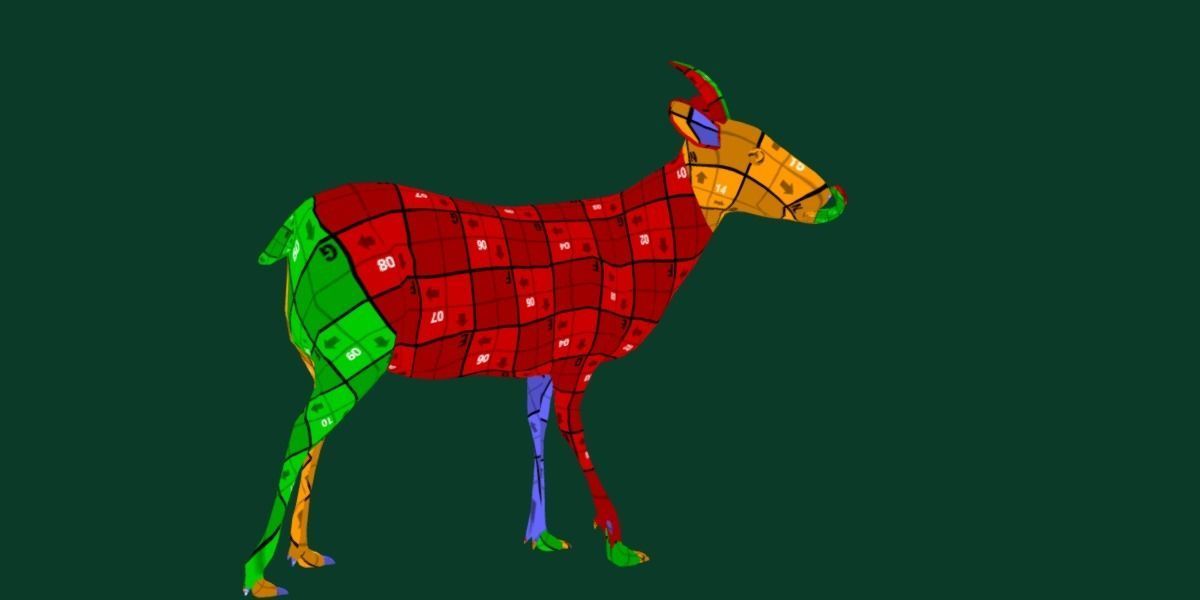 Duiker Brown Antelope Animal Low-poly 3D model_9