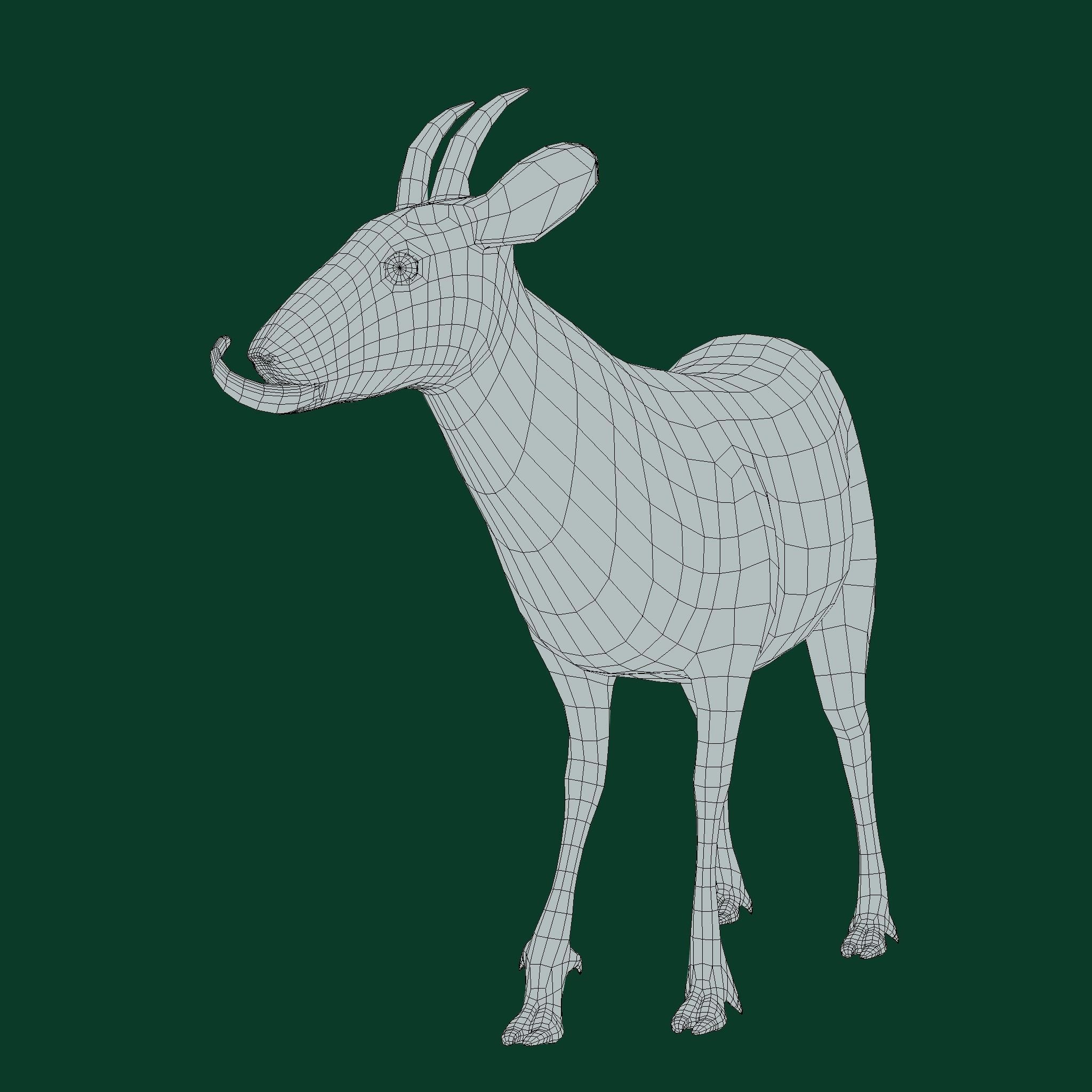 Duiker Brown Antelope Animal Low-poly 3D model_11