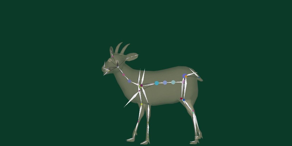 Duiker Brown Antelope Animal Low-poly 3D model_12