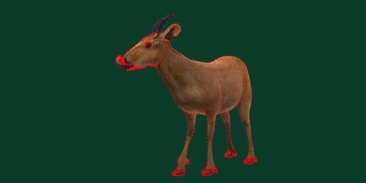 Duiker Brown Antelope Animal Low-poly 3D model_7