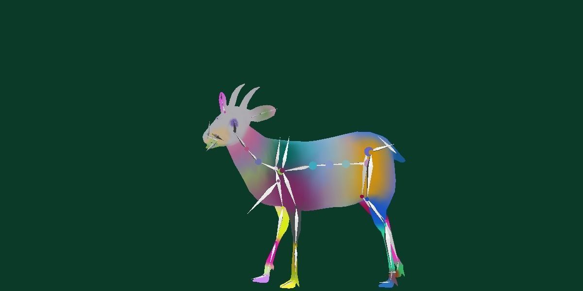 Duiker Brown Antelope Animal Low-poly 3D model_13