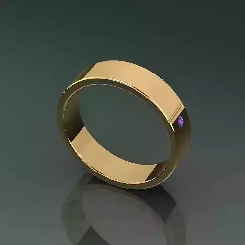 Ring Model 4648