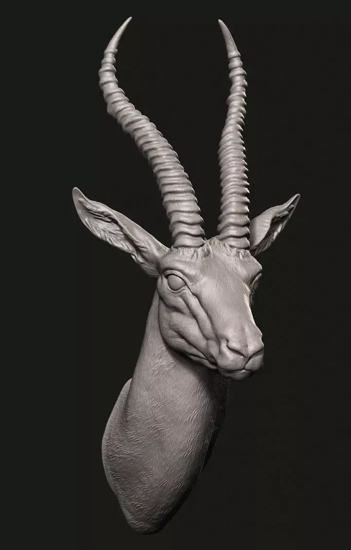 Gazelle head 3D print model_0