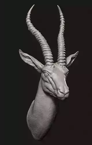 Gazelle head 3D print model