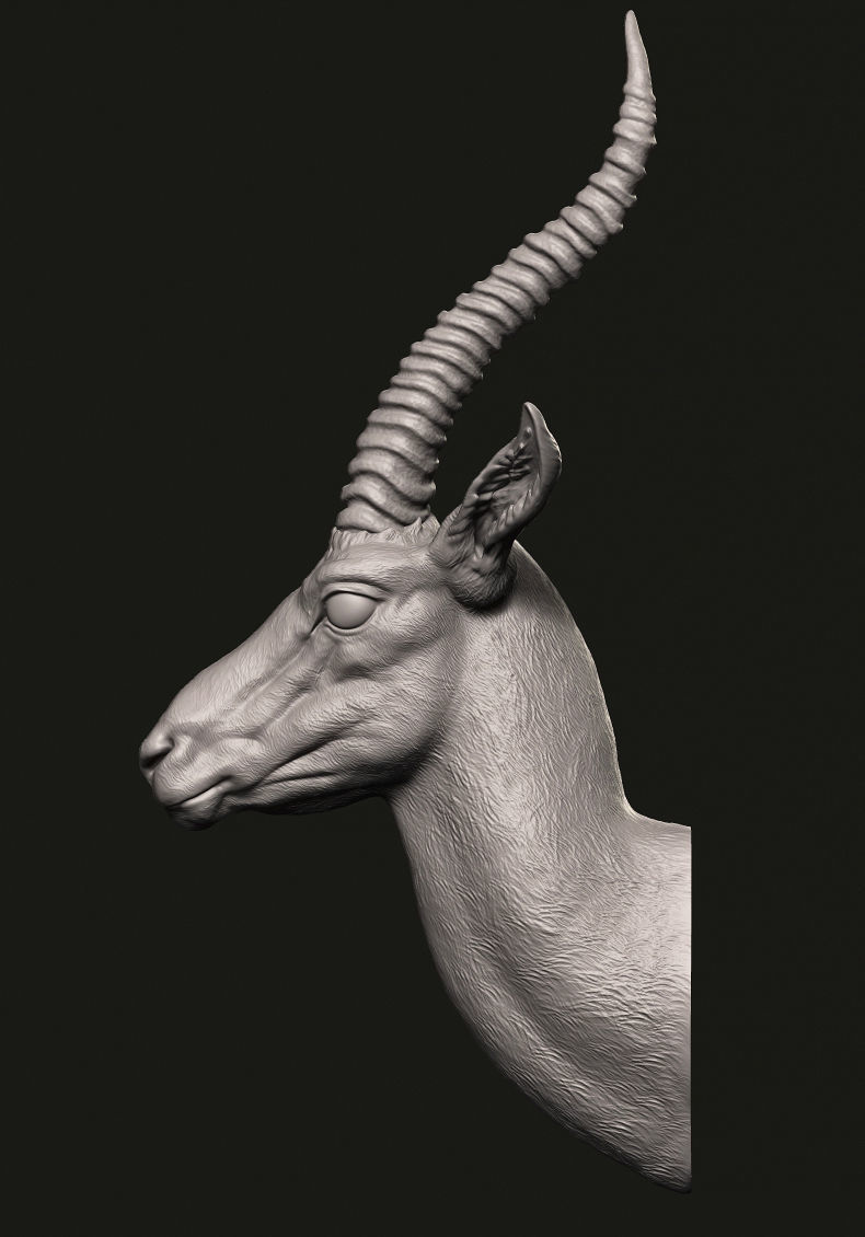 Gazelle head 3D print model_4