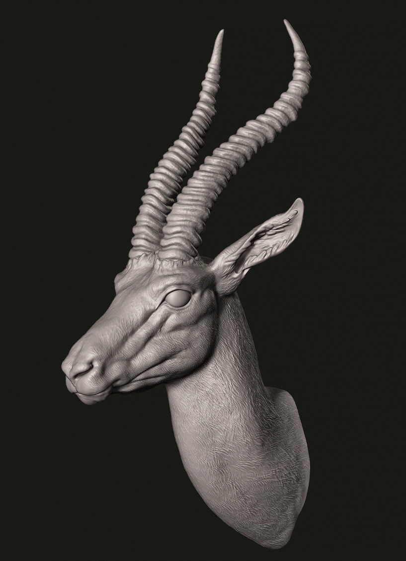 Gazelle head 3D print model_2