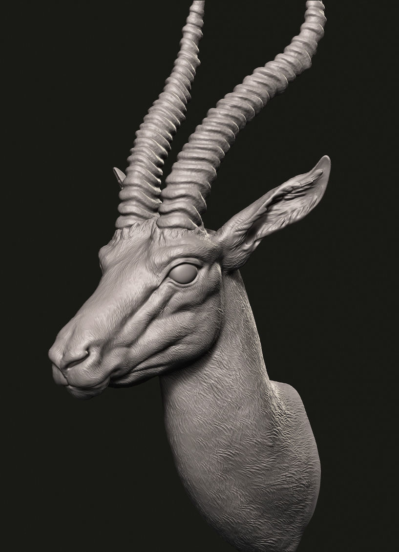 Gazelle head 3D print model_3