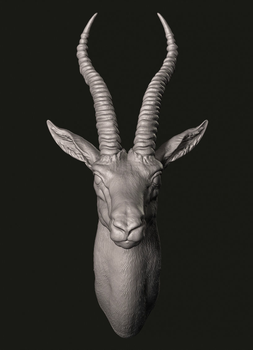 Gazelle head 3D print model_1