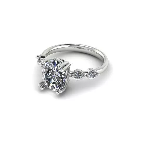 Engagement halo rings Model 4729 3D print model