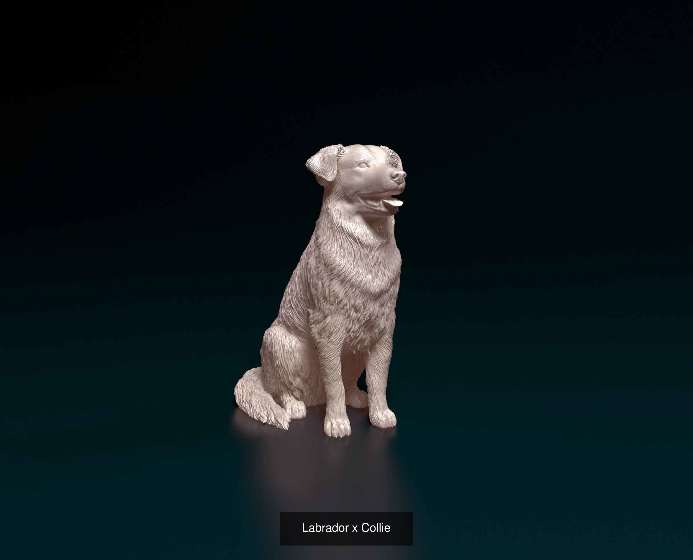 jnortiz collection _18