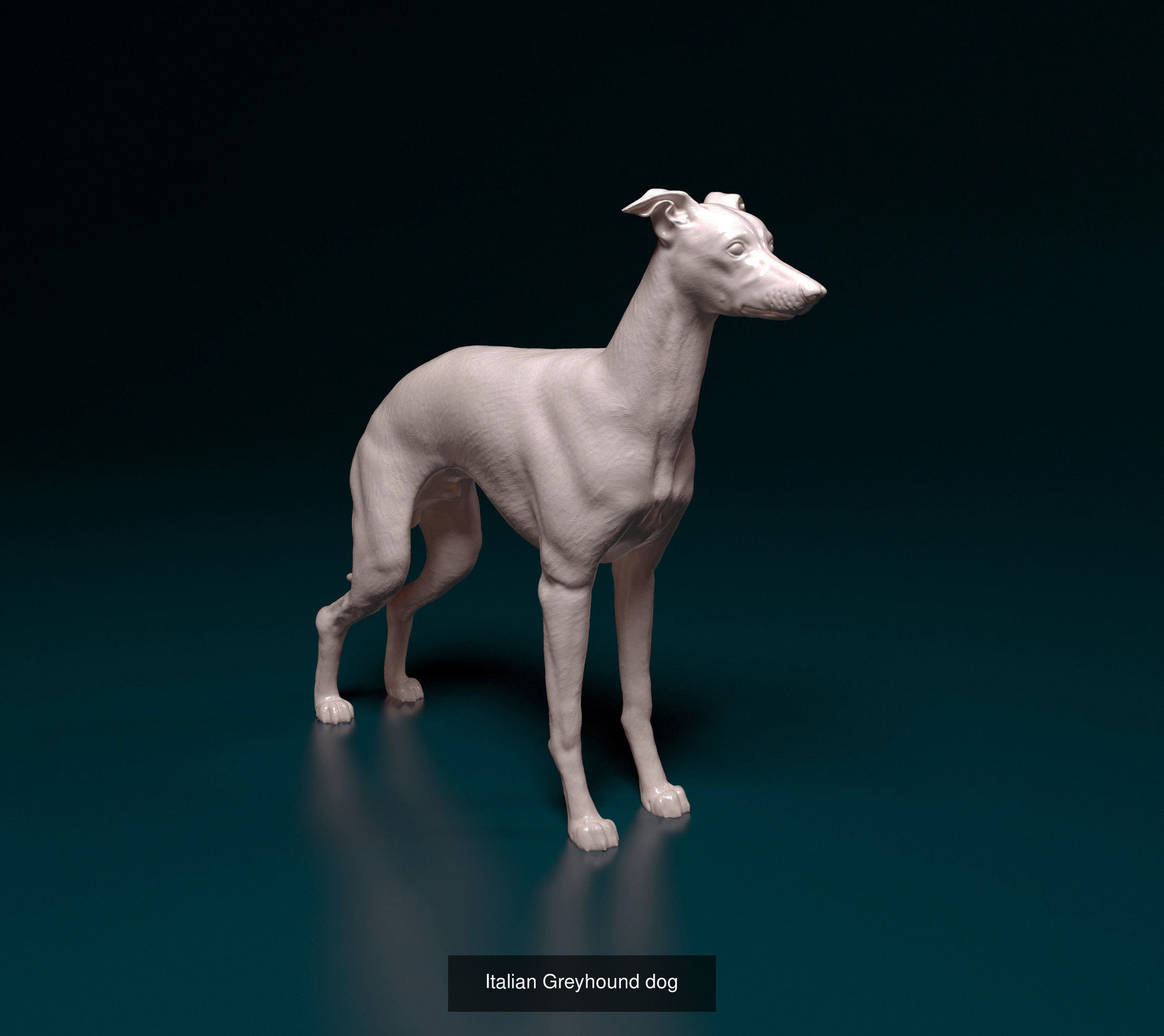 jnortiz collection _15