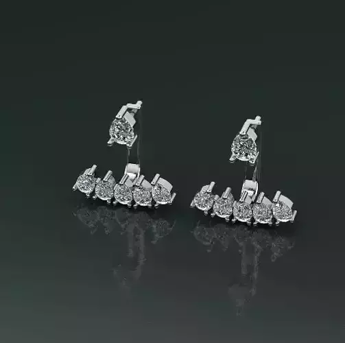 Earrings Model 4766