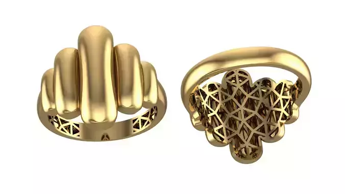 Modern Fusion Ring