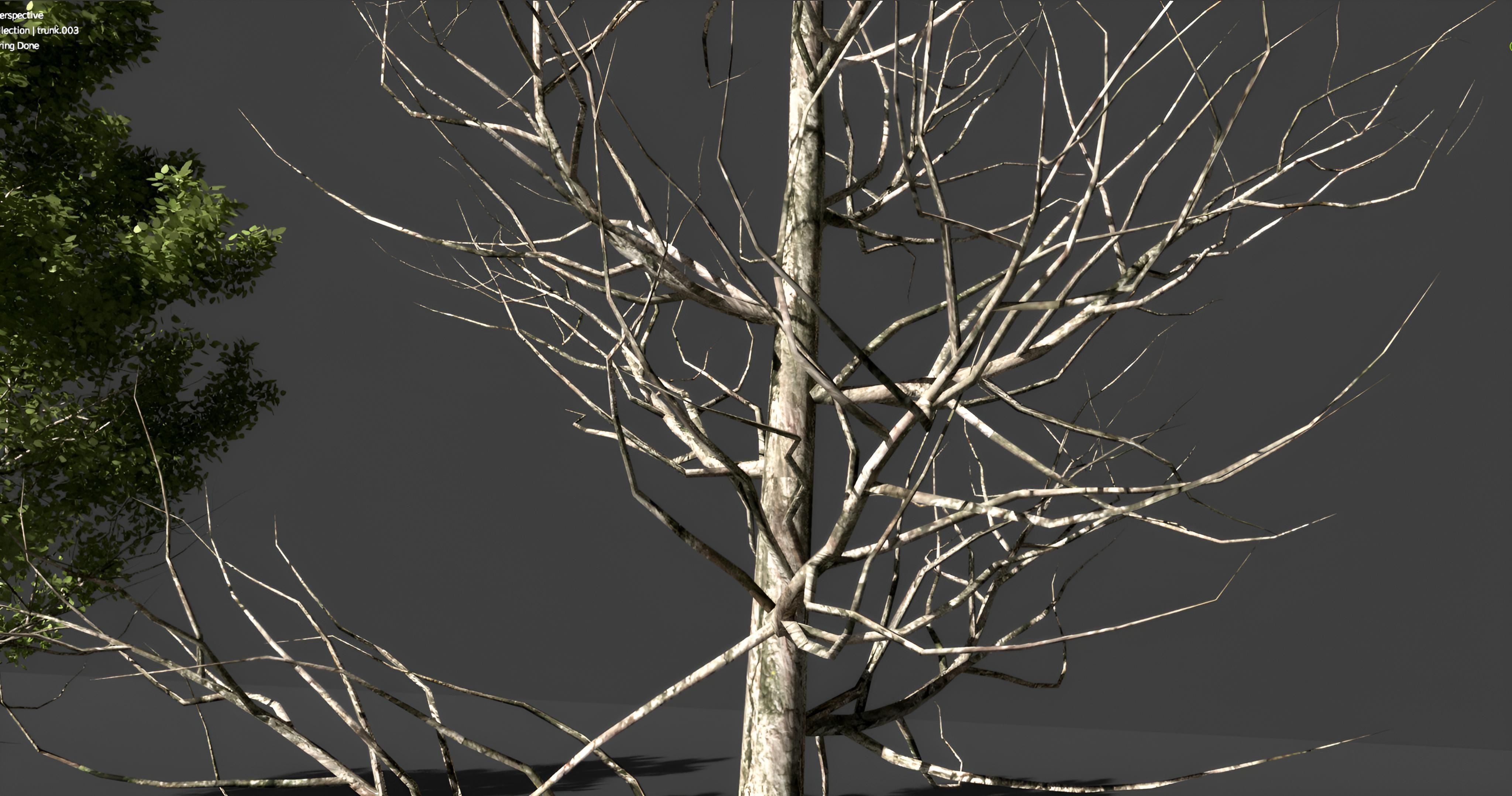 Realistic green tree  Low-poly 3D model_5