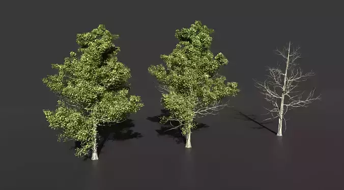 Realistic green tree  Low-poly 3D model