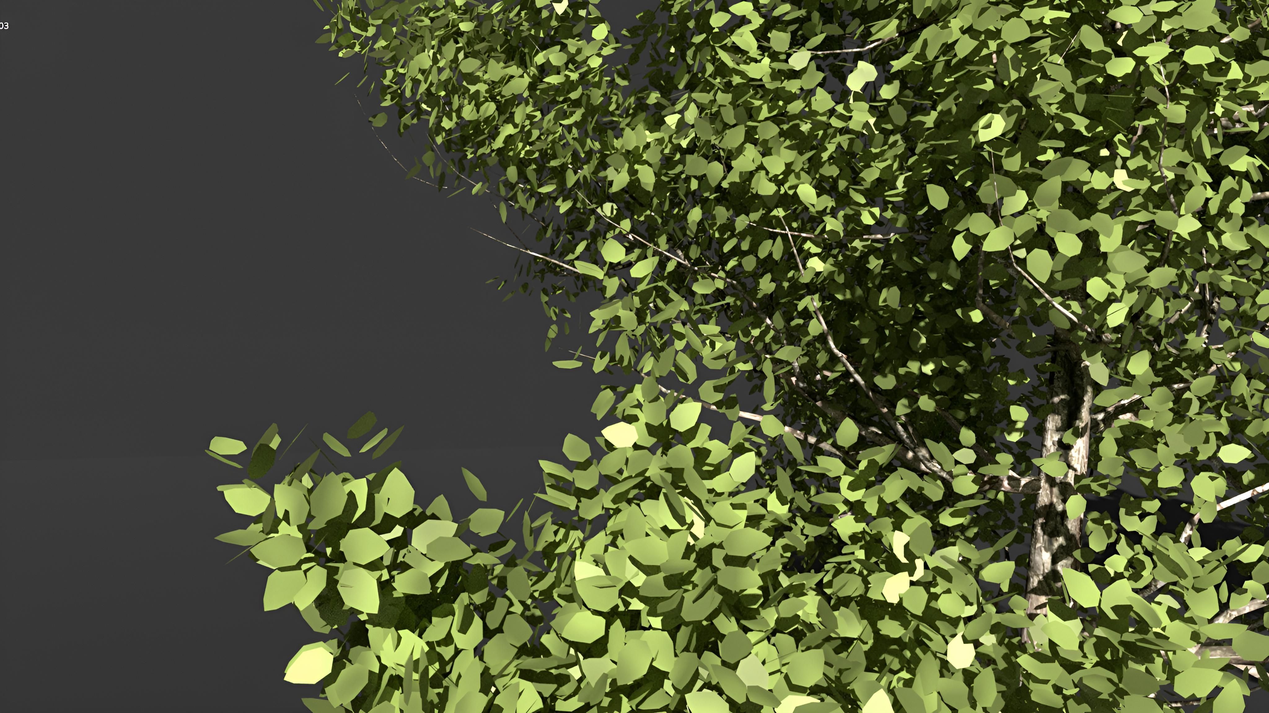 Realistic green tree  Low-poly 3D model_2