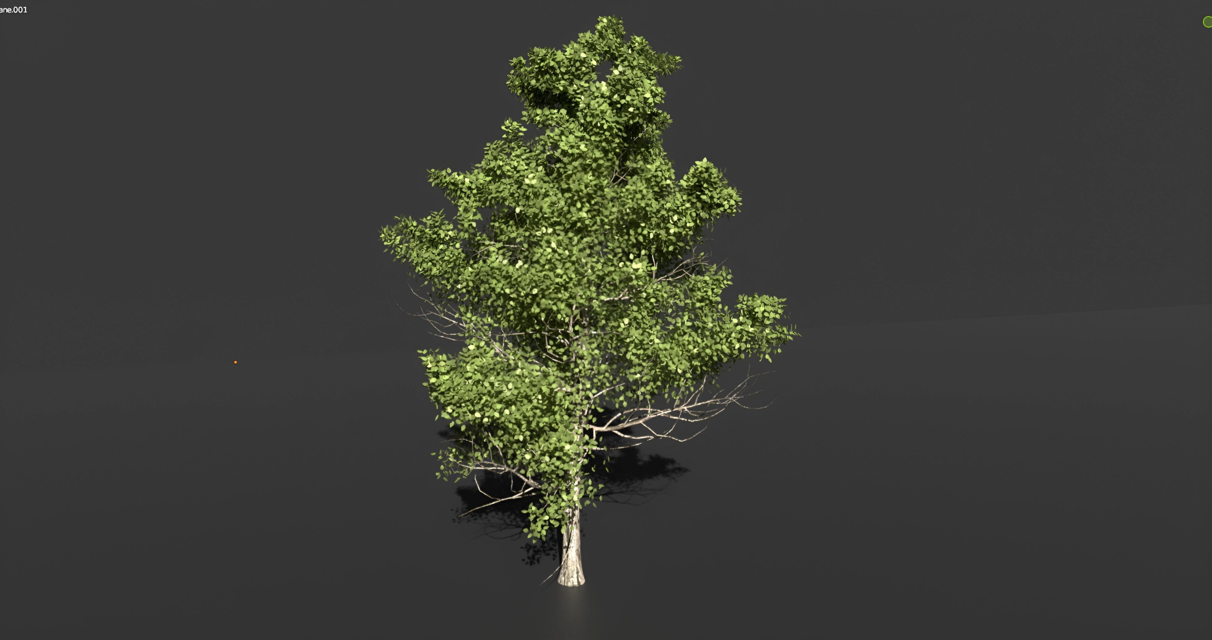 Realistic green tree  Low-poly 3D model_1