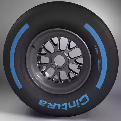 F1 tyre wet front