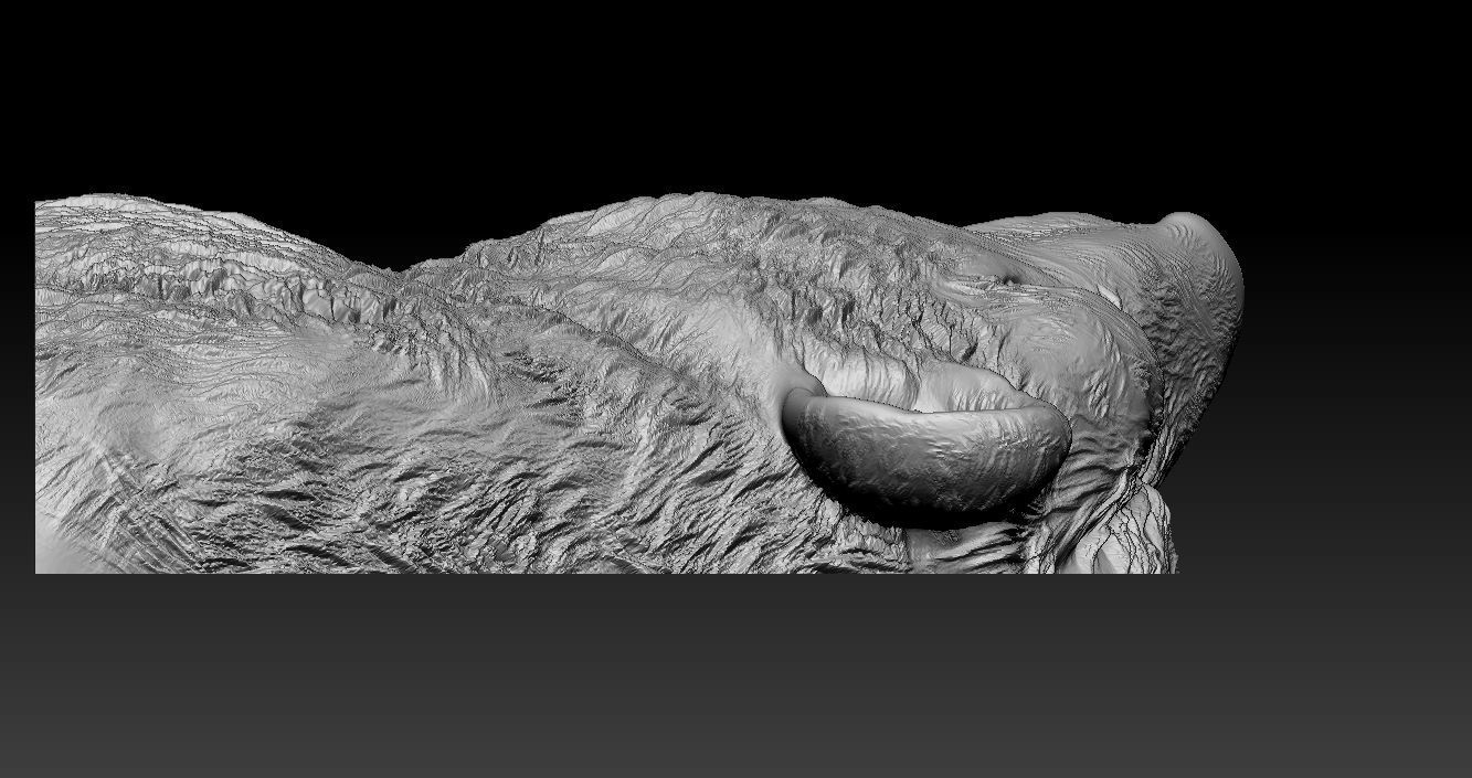 Roaring Bear Model 3D print model_9