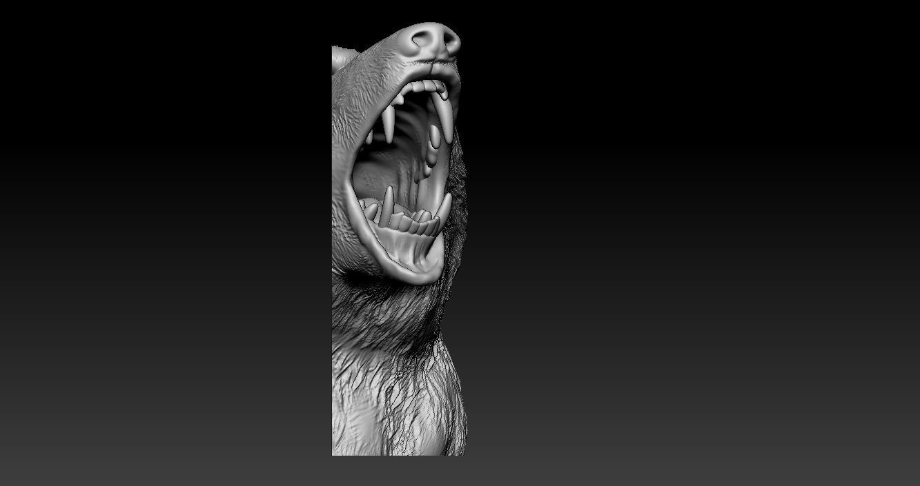 Roaring Bear Model 3D print model_7