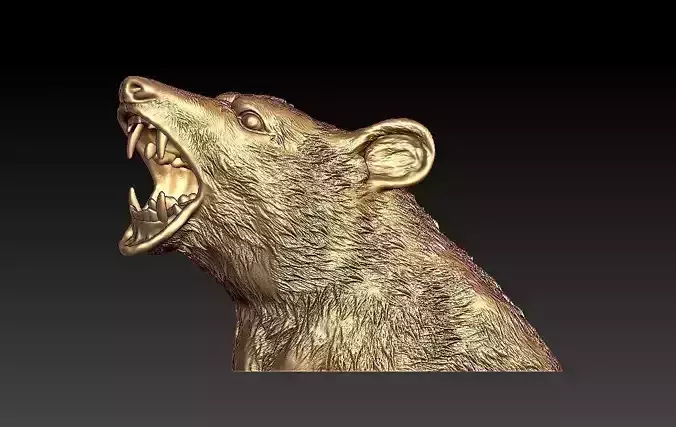 Roaring Bear Model