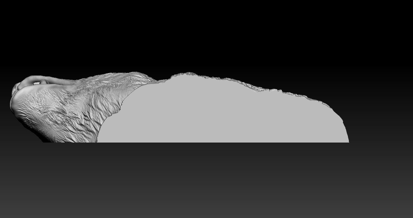 Roaring Bear Model 3D print model_8