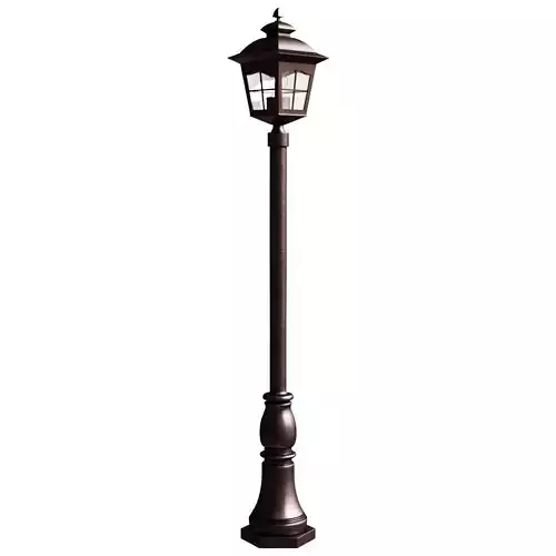 Elektrostandard Dorado F Street Lamp