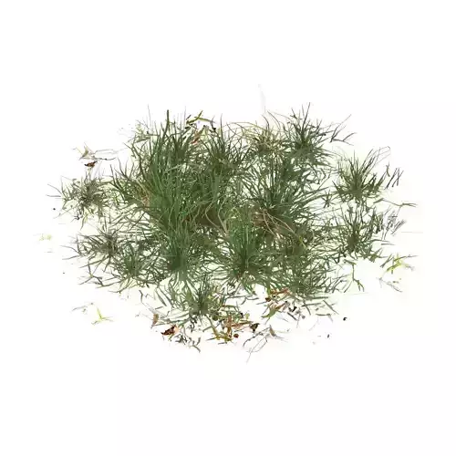 Realistic Game Ready Grass 01