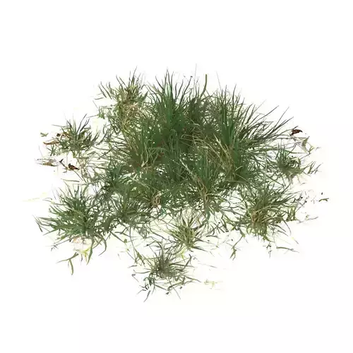 Realistic Game Ready Grass 02 Low-poly 3D model
