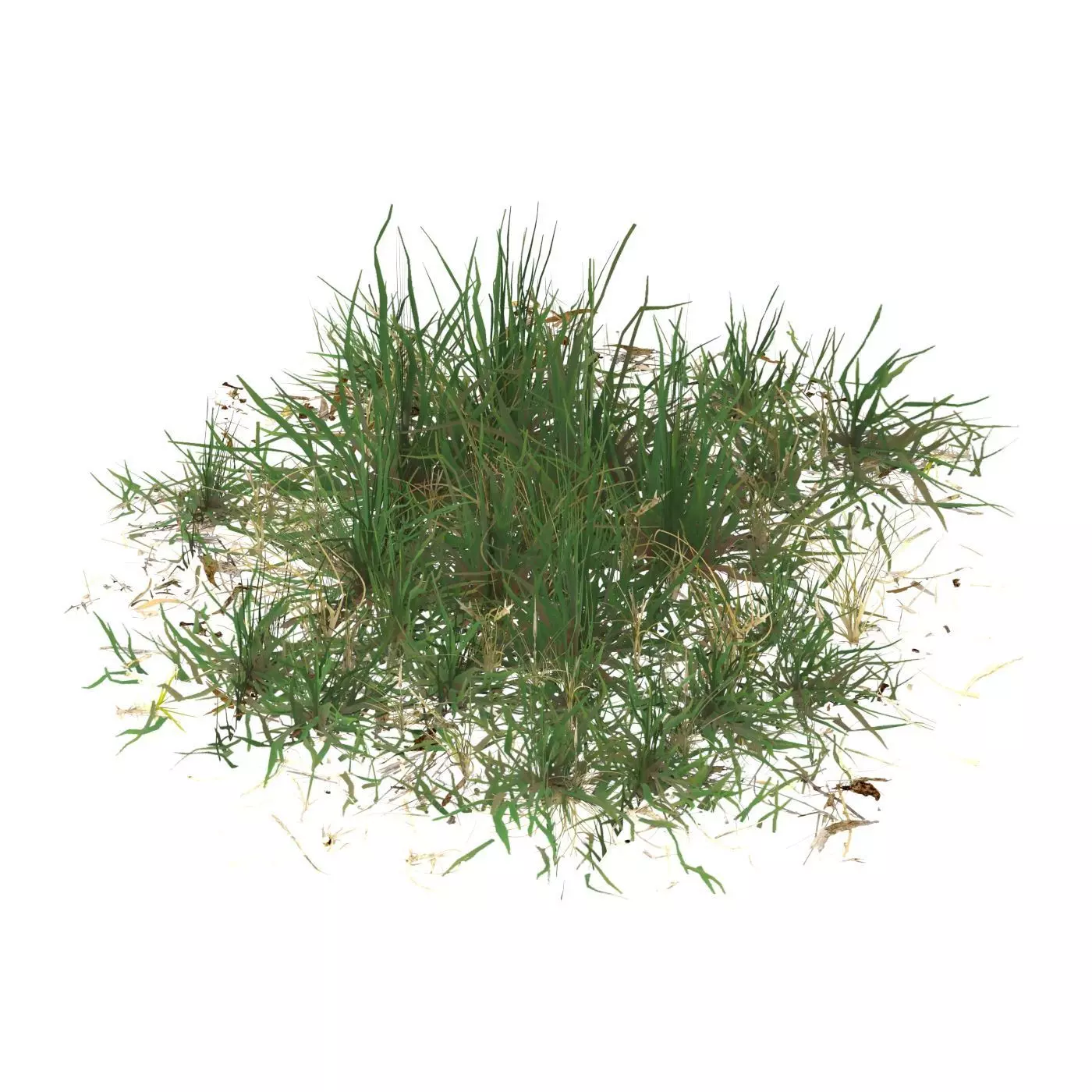 Realistic Game Ready Grass 03 Low-poly 3D model_0